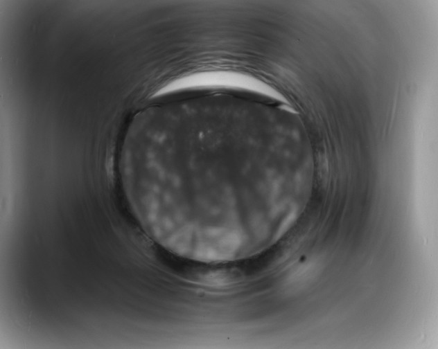 X0000088030267200706081507