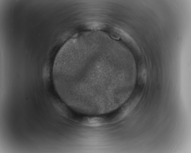 X0000088030268200706081507