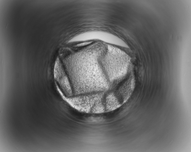 X0000088030270200706081507