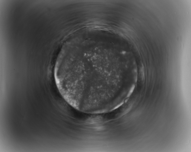 X0000088030271200706081507