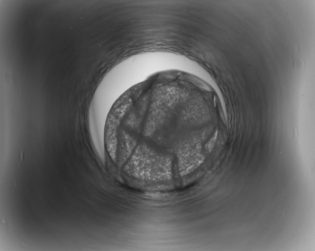 X0000088030272200706081507