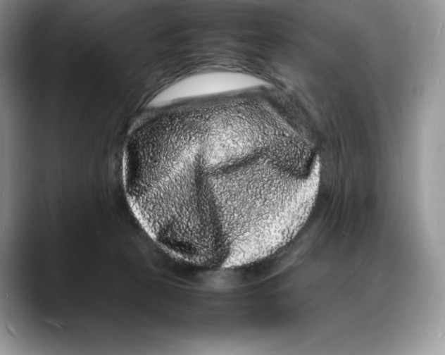 X0000088030273200706081507