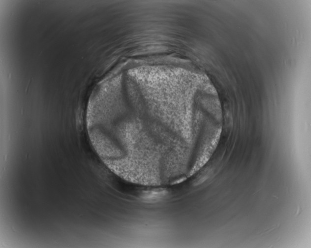 X0000088030274200706081507