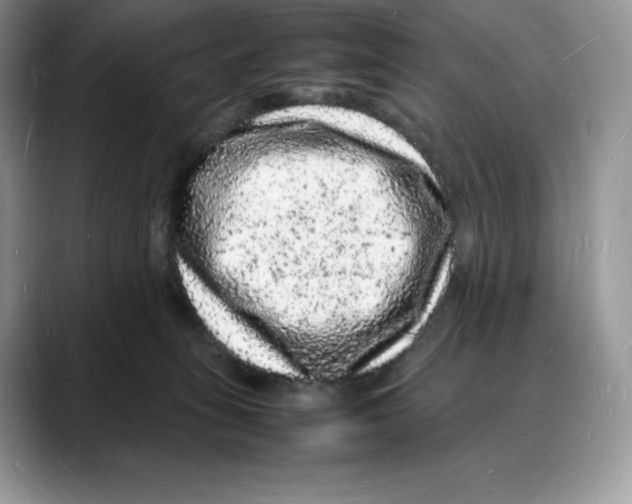 X0000088030275200706081507