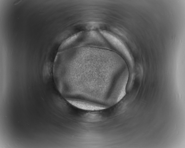 X0000088030280200706081507