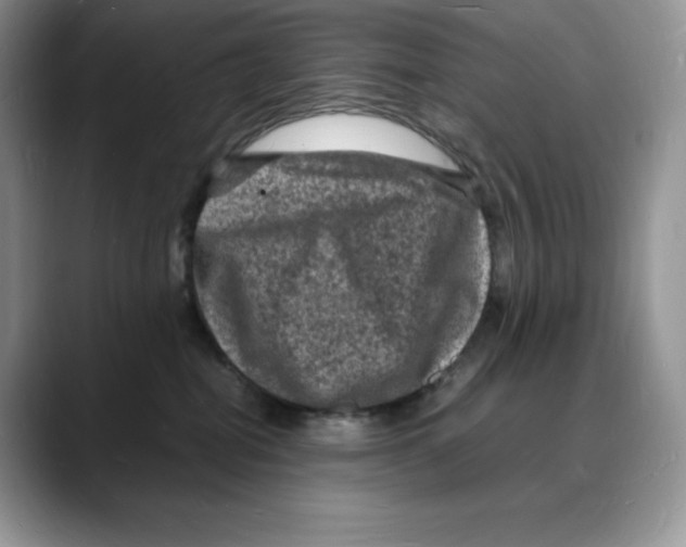 X0000088030282200706081507
