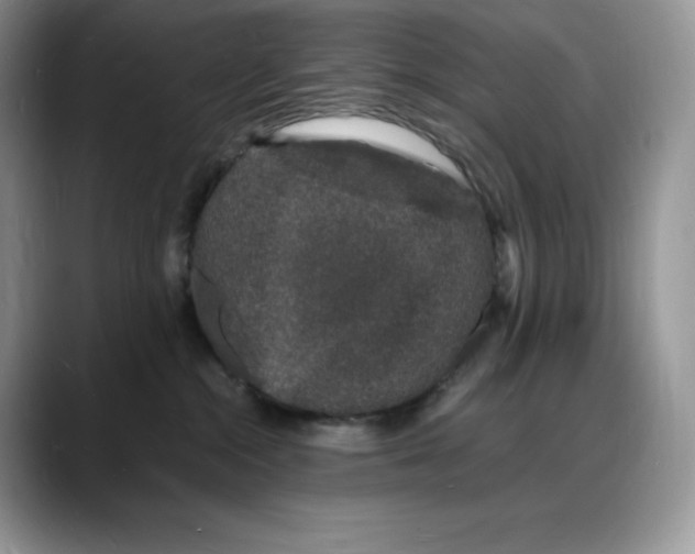 X0000088030284200706081507