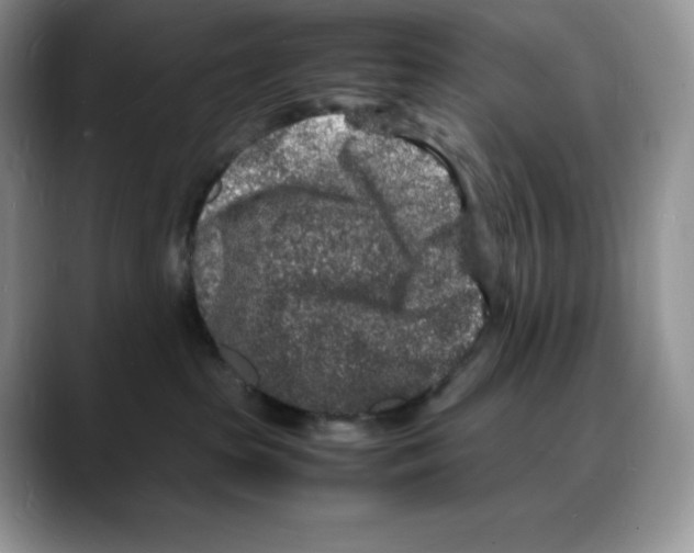 X0000088030285200706081507
