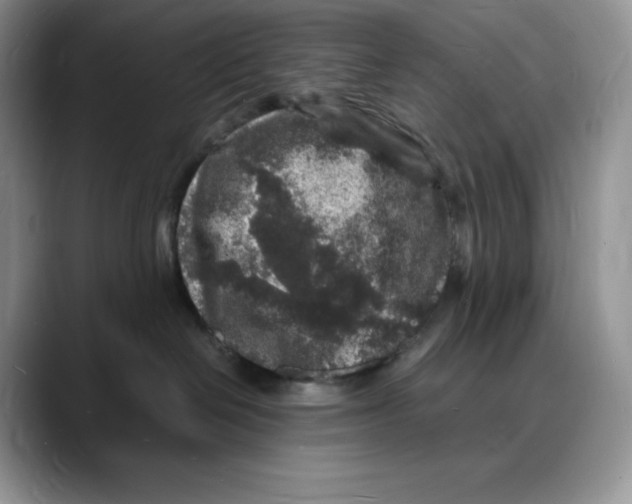 X0000088030286200706081507