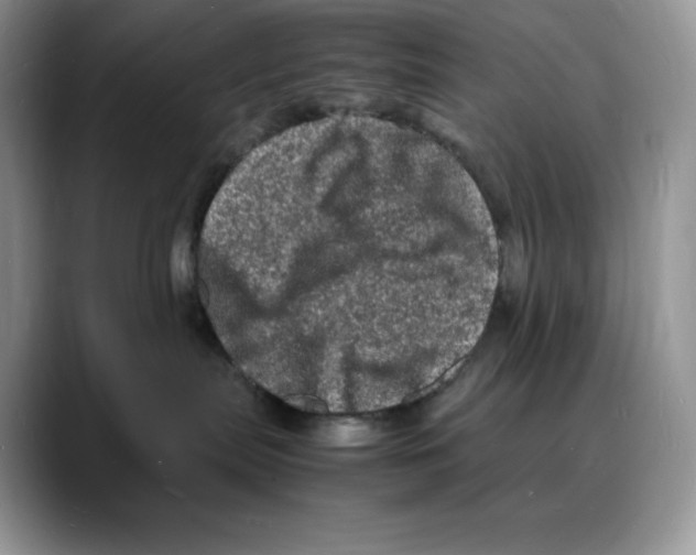 X0000088030287200706081507