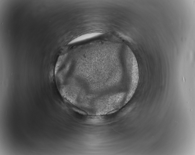 X0000088030288200706081508