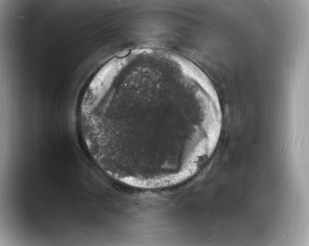 X0000088030290200706081507