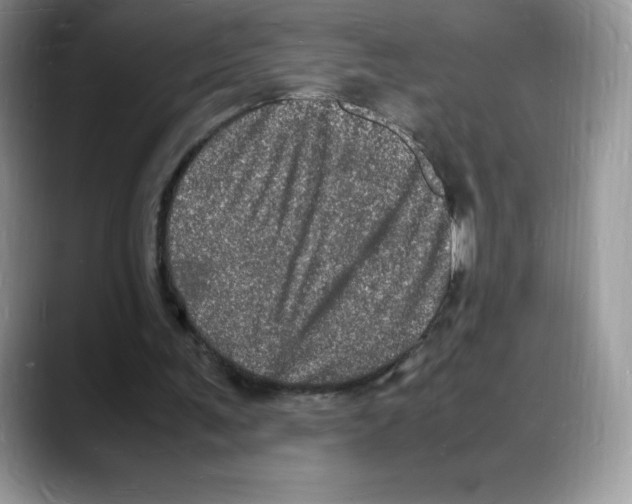 X0000088030291200706081507