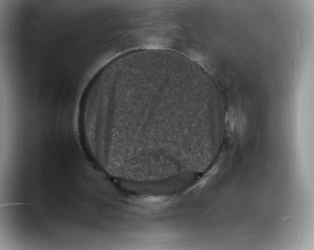 X0000088030292200706081507