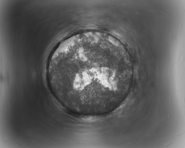 X0000088030293200706081507