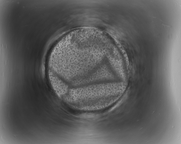 X0000088030294200706081507