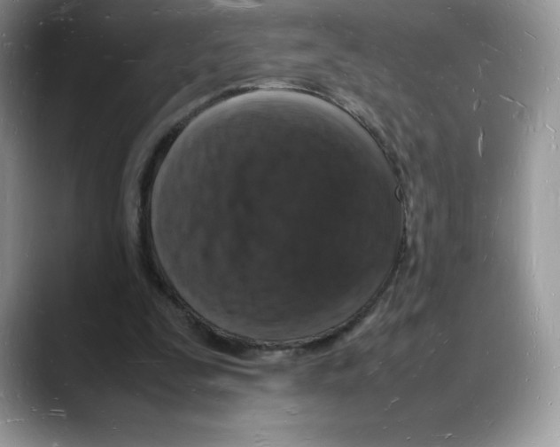 X0000088030295200706081507