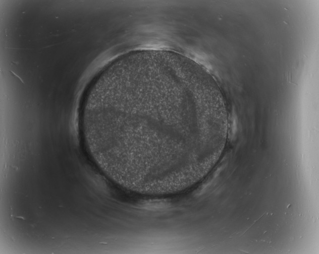 X0000088030296200706081507