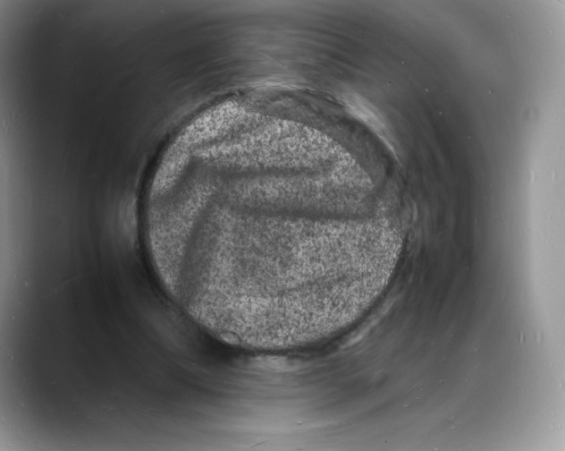 X0000088030298200706081507
