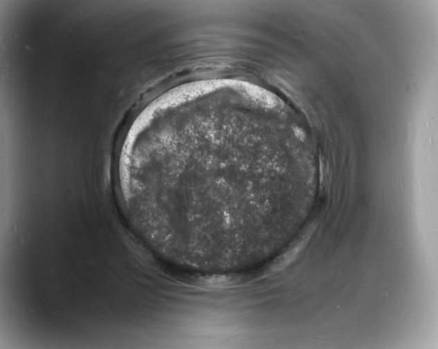 X0000088030301200706081507
