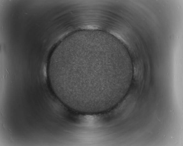 X0000088030302200706081507