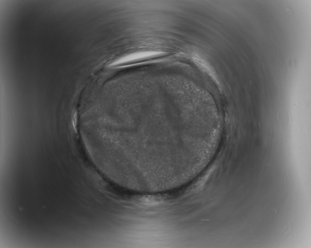 X0000088030305200706081507