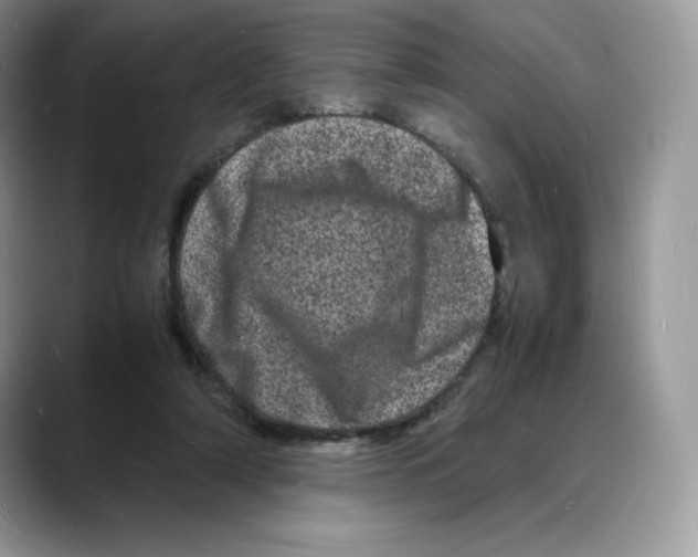 X0000088030306200706081507