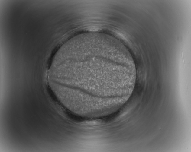 X0000088030307200706081507
