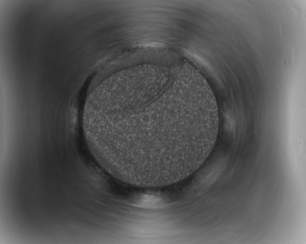 X0000088030308200706081507