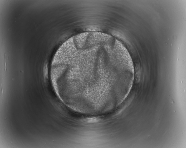 X0000088030310200706081507