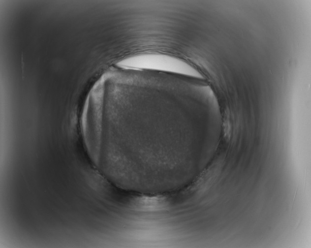 X0000088030314200706081507