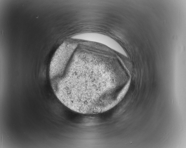 X0000088030315200706081507