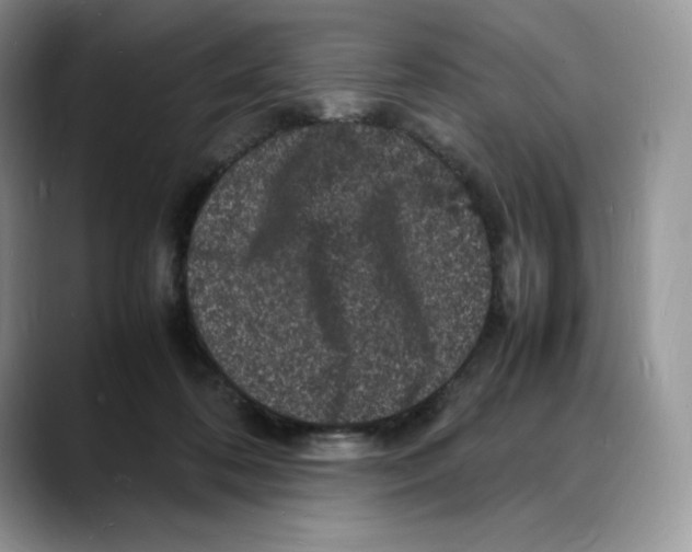 X0000088030316200706081507
