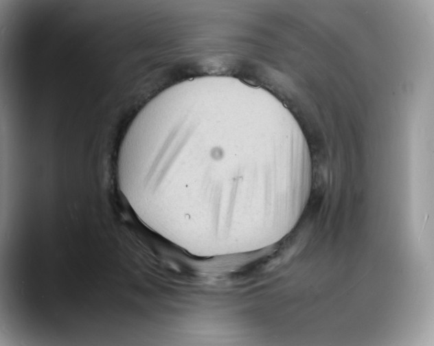 X0000088030317200706081507