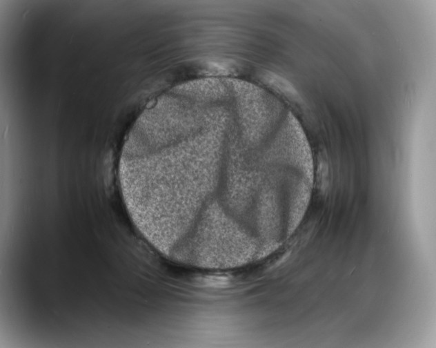 X0000088030318200706081507