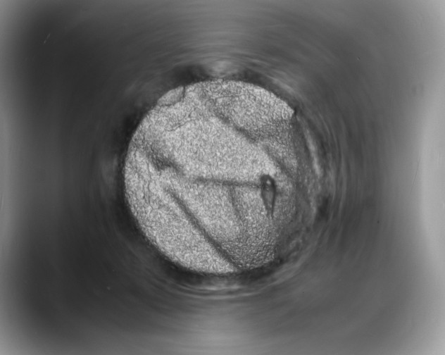 X0000088030319200706081506