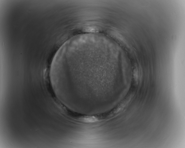 X0000088030322200706081506