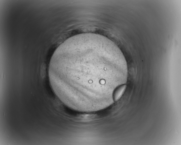 X0000088030323200706081506