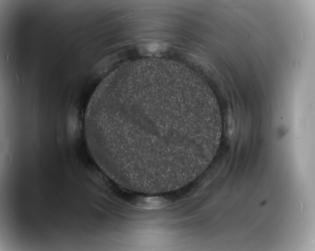 X0000088030324200706081506