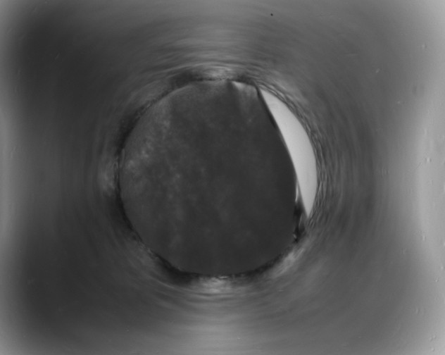 X0000088030325200706081506