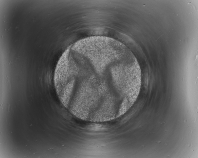 X0000088030326200706081506