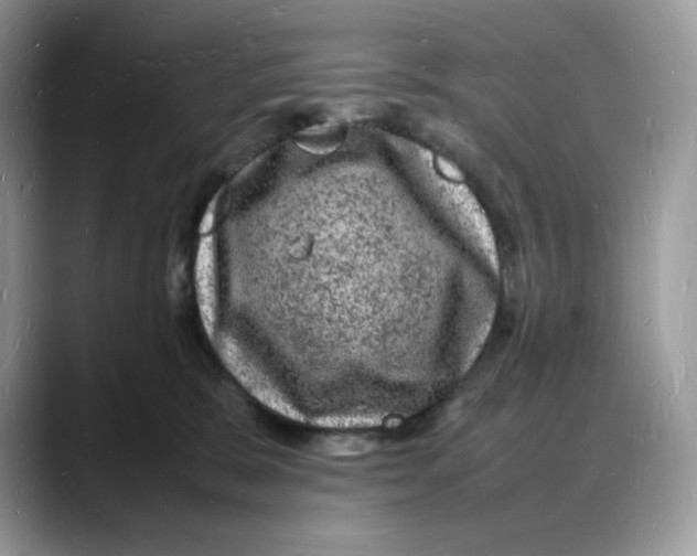X0000088030327200706081506