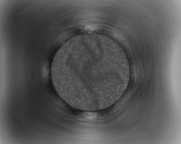 X0000088030328200706081506