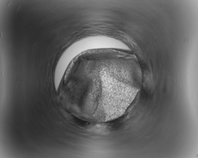 X0000088030329200706081506