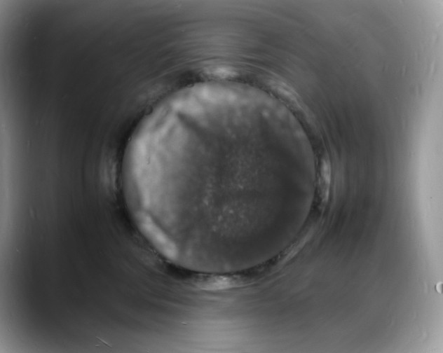 X0000088030330200706081506
