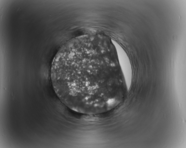 X0000088030331200706081506