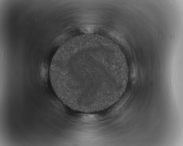 X0000088030332200706081506