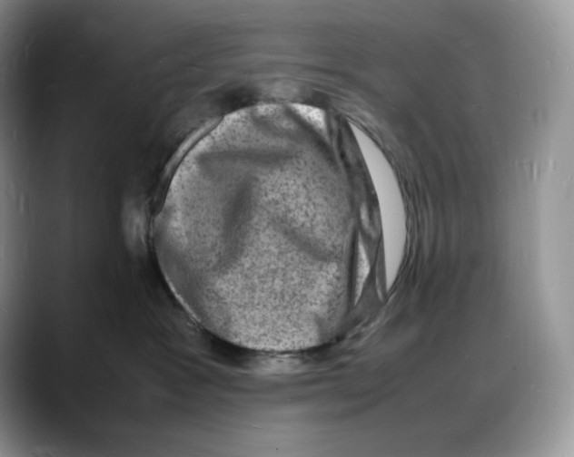 X0000088030333200706081506