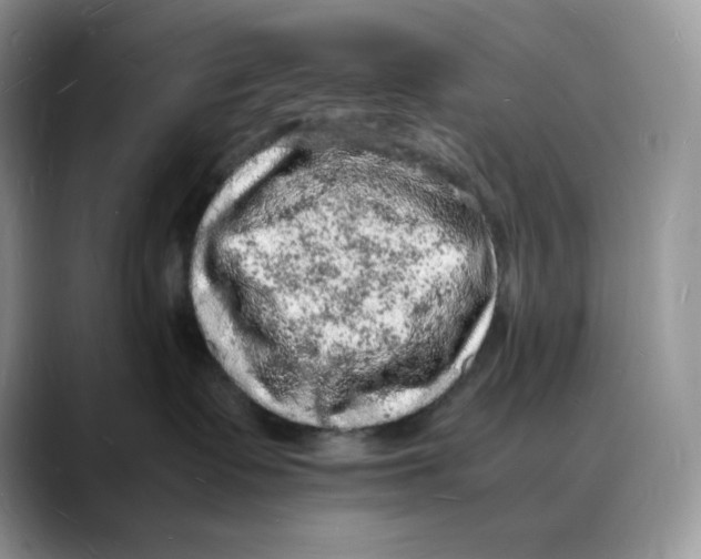 X0000088030335200706081506