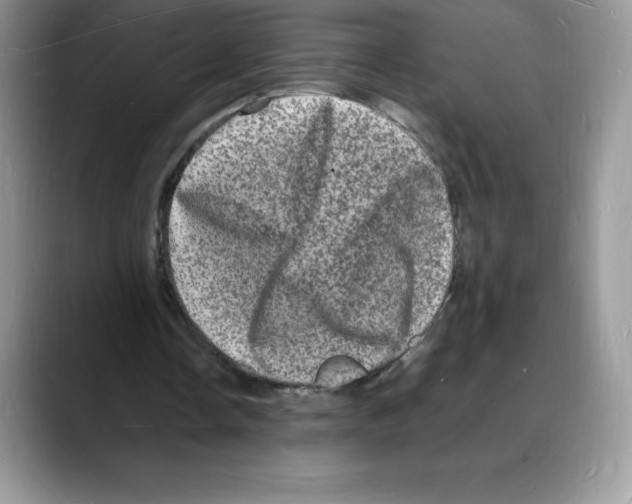 X0000088030338200706081506